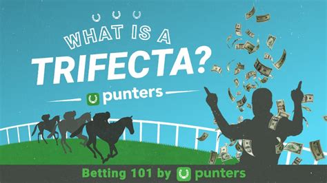 what is a trifecta|Trifecta .
